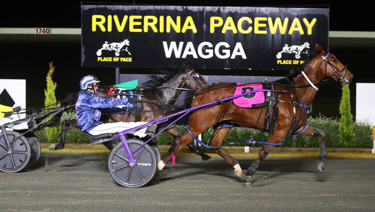 FINE FORM: Just Ralph made it two wins from his last three starts for Ellen Bartley and Blake Jones at Riverina Paceway on Tuesday. It was part of an early double for the Narrandera couple. Picture: Emma Hillier