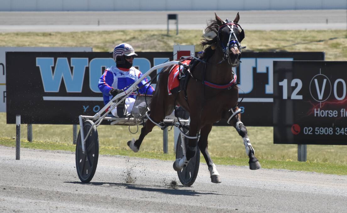 SPRINTING AWAY: Rocknroll Sass qualifed for the NSW Breeders Challenge semi-finals by winning her heat at Riverina Paceway on Friday. Picture: Courtney Rees