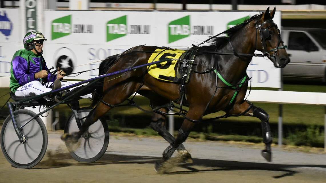 GROUP GLORY: Mirrool trainer-driver Stephen Maguire is looking to win the NSW Breeders Challenge Blue at Menangle on Saturday night with Major Roll.