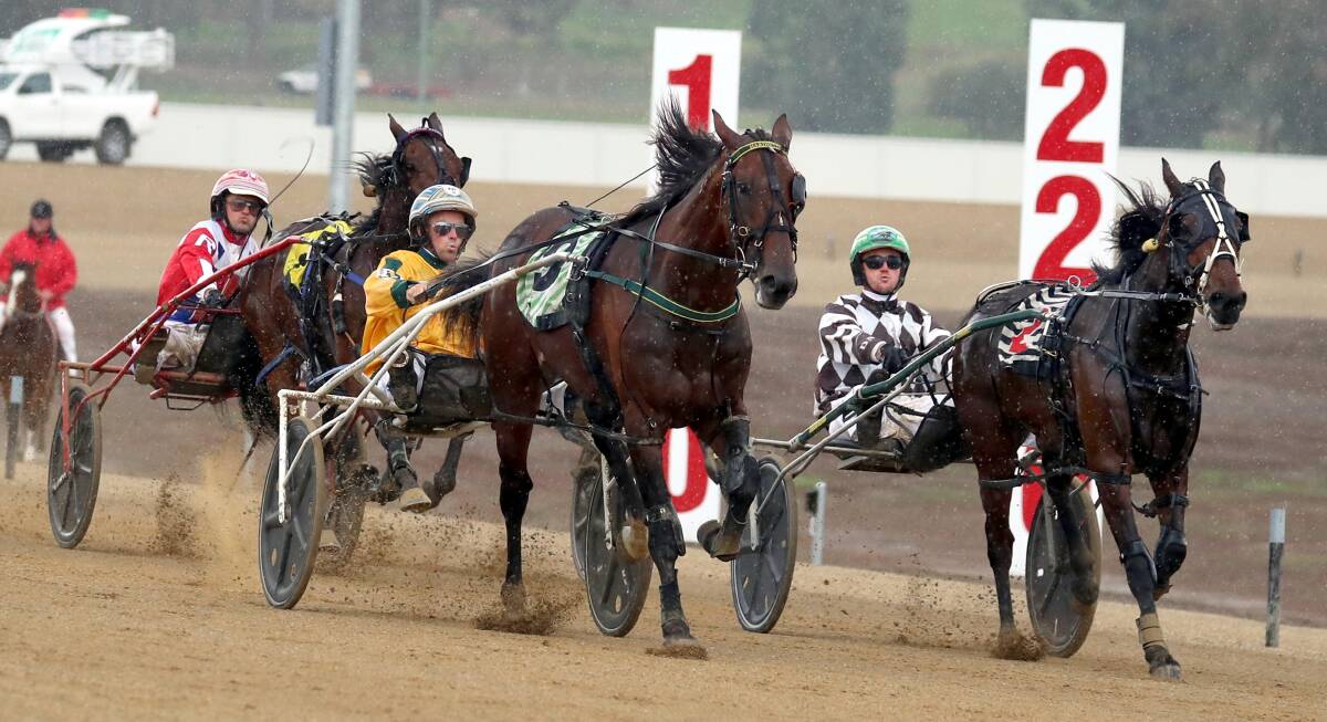 BIG DAY OUT: Hardhitter storms past Rockin Marty to win his NSW Breeders Challenge heat at Riverina Paceway on Friday. It was one of four wins for reinsman David Moran. Picture: Les Smith
