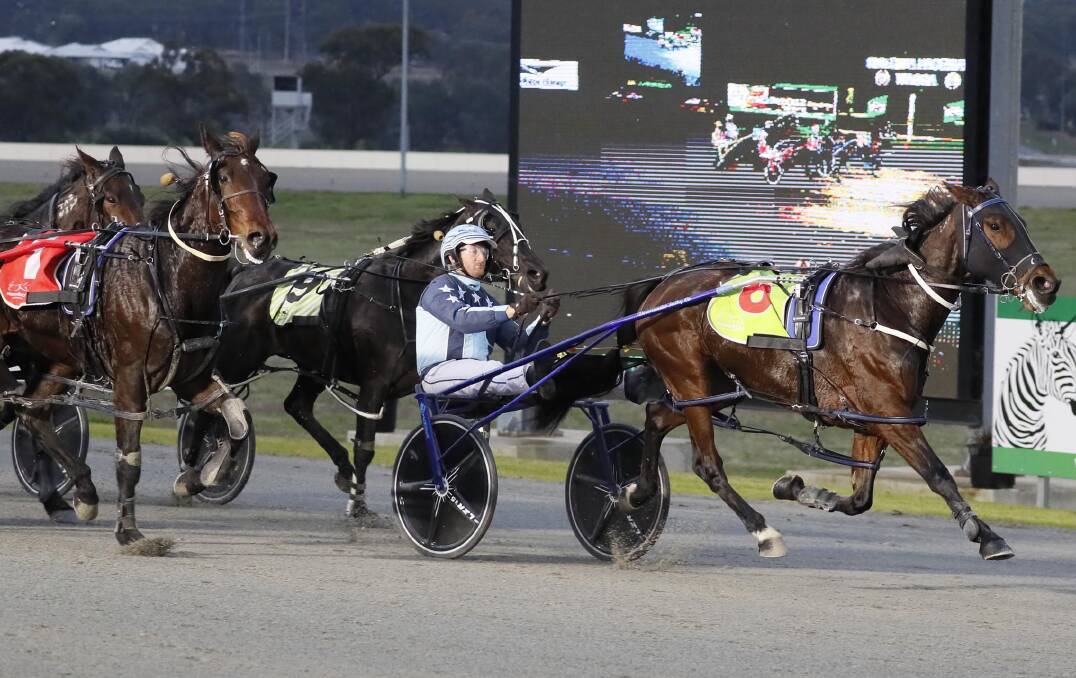 BIG DAY OUT: Speed Of Sound makes it four winners for reinsman Jackson Painting at Riverina Paceway on Friday. Picture: Les Smith
