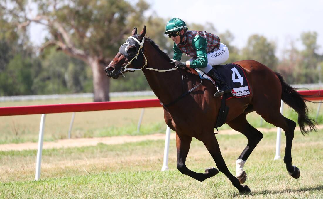 Canberra trainer Norm Gardner is looking to go back-to-back in the Adelong Cup on Wednesday following a victory with The Walrus, pictured, last year.