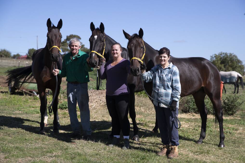 TRIPLE SHOT: Trevor White, Sally Dean and Jeanette Mutimer with Gracie Taltoa, Defiant and Western Style ahead of the Regional Championships heats at Wagga on Tuesday. Picture: Madeline Begley