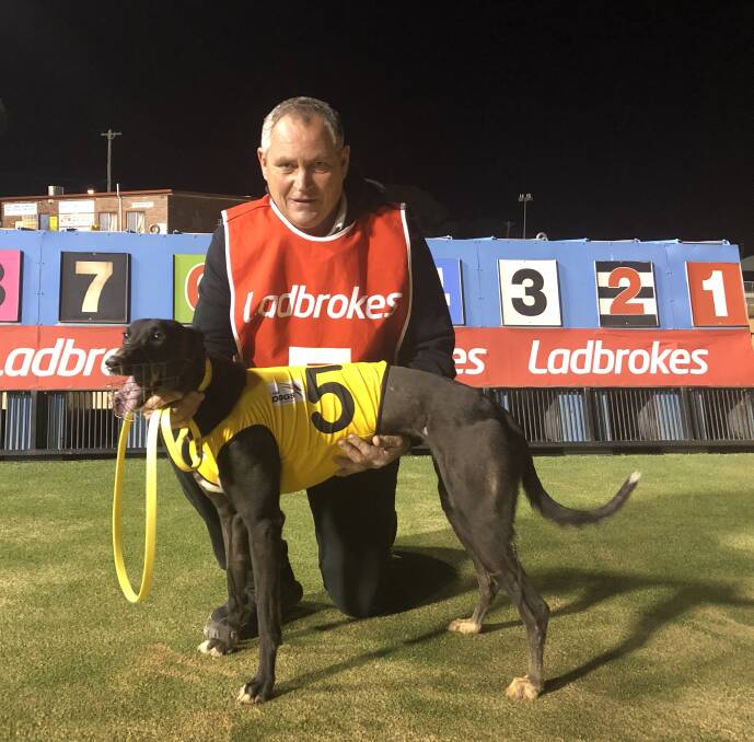 STRONG WIN: Wagga trainer Paul Strutt with Bull's Babe after her win in a Ladbrokes Back Yourself 0-2 Wins heat at Wagga on Friday night. It was her second win at start eight. Picture: Courtney Rees