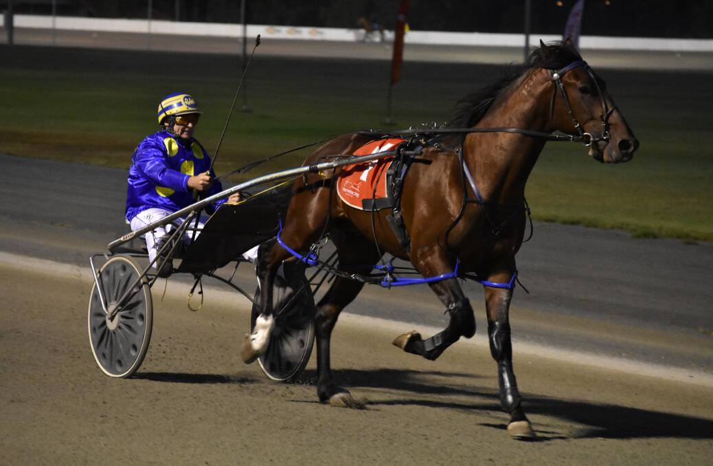 PLATE SHOT: After winning the Breeders Plate from gate one two years ago Temora trainer-driver Ray Walker has the same draw with Justa Major.
