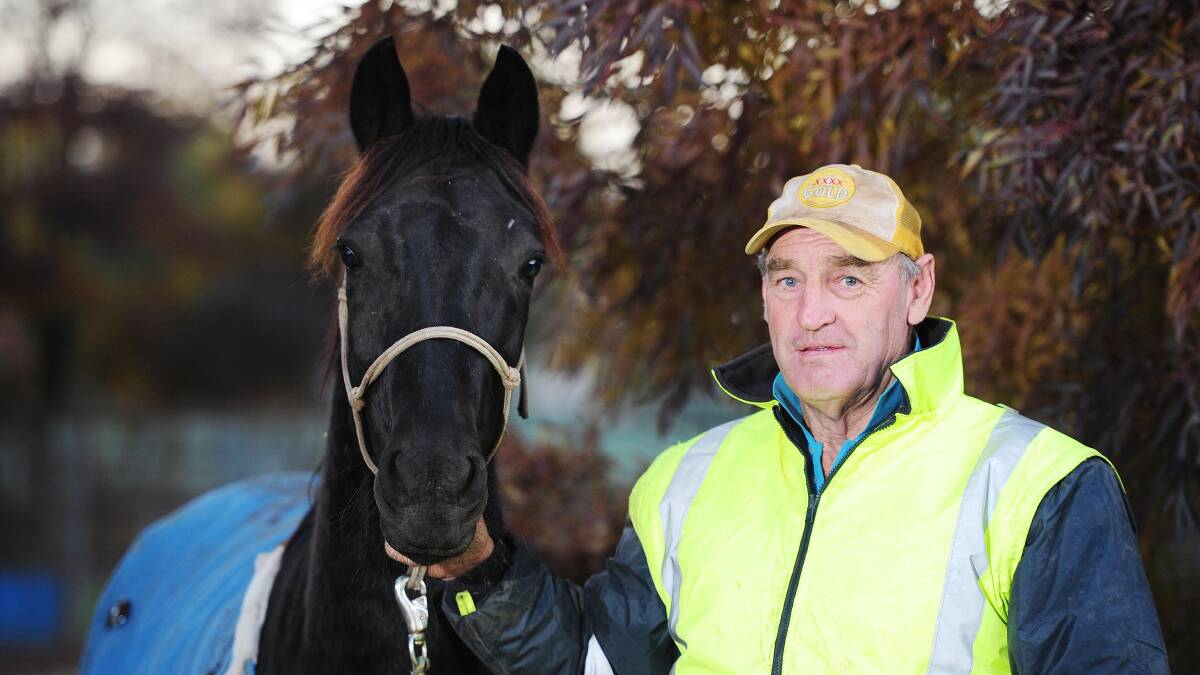 Flaneur is looking to crack the $100,000 mark for North Wagga trainer Gary Lang on Friday.