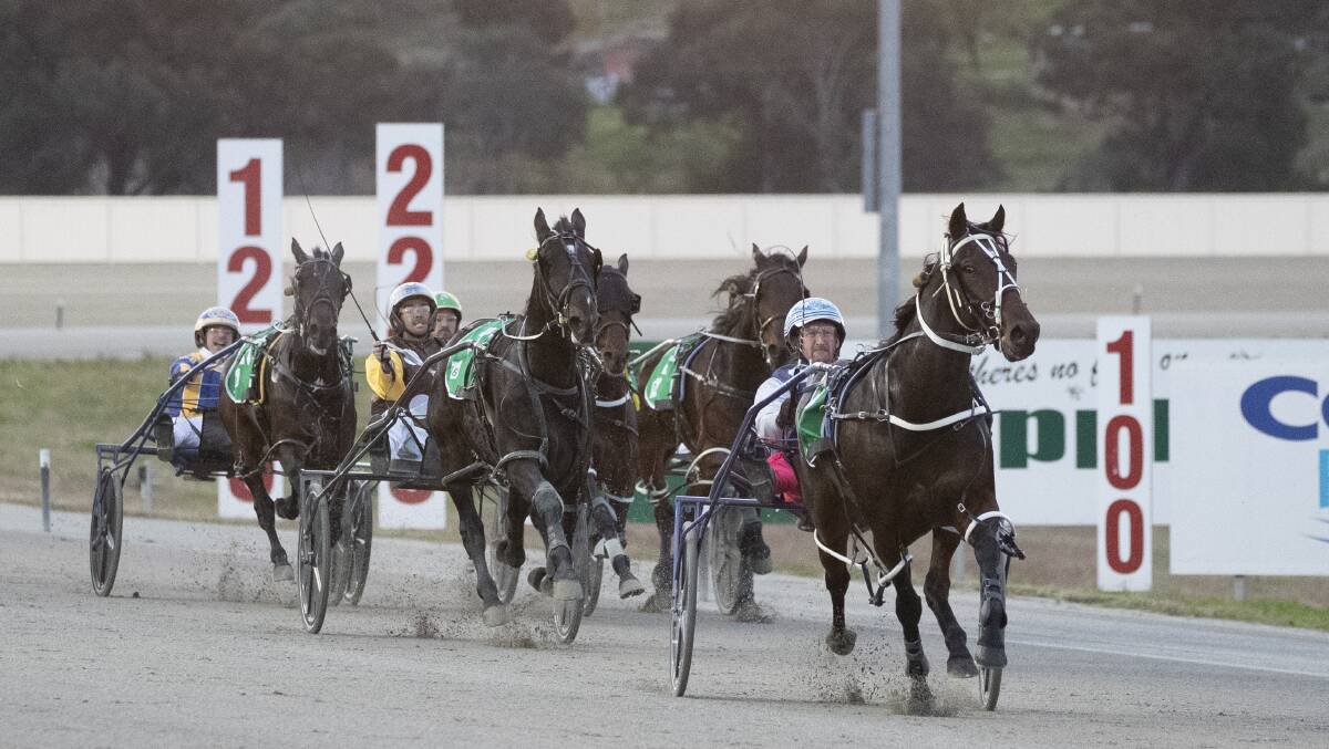 Defiant tries to chase down Rocknroll Runa in the Regional Championships Riverina Final on Friday. They've drawn one and two the State Final at Menangle on Saturday.