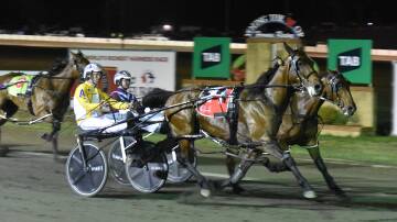 Max Delight just edges out Cyas Art to win the $60,000 Cherry City Cup as part of the revamped Carnival Of Cups circuit at Young on Friday night. Picture by Courtney Rees