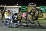 Max Delight just edges out Cyas Art to win the $60,000 Cherry City Cup as part of the revamped Carnival Of Cups circuit at Young on Friday night. Picture by Courtney Rees