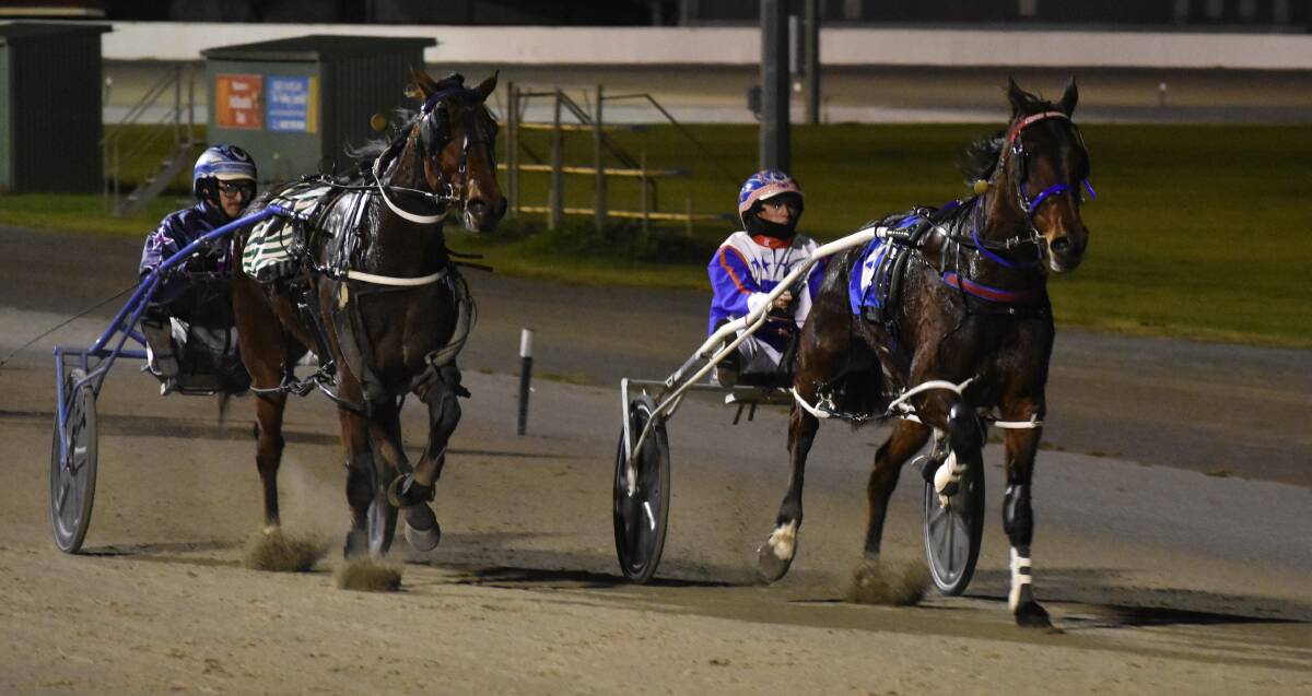 BACK IN BUSINESS: The Muse holds out Rocky Branach to bring up her first win since February last year for trainer-driver Alanah Pitt at Leeton on Tuesday night. Picture: Courtney Rees