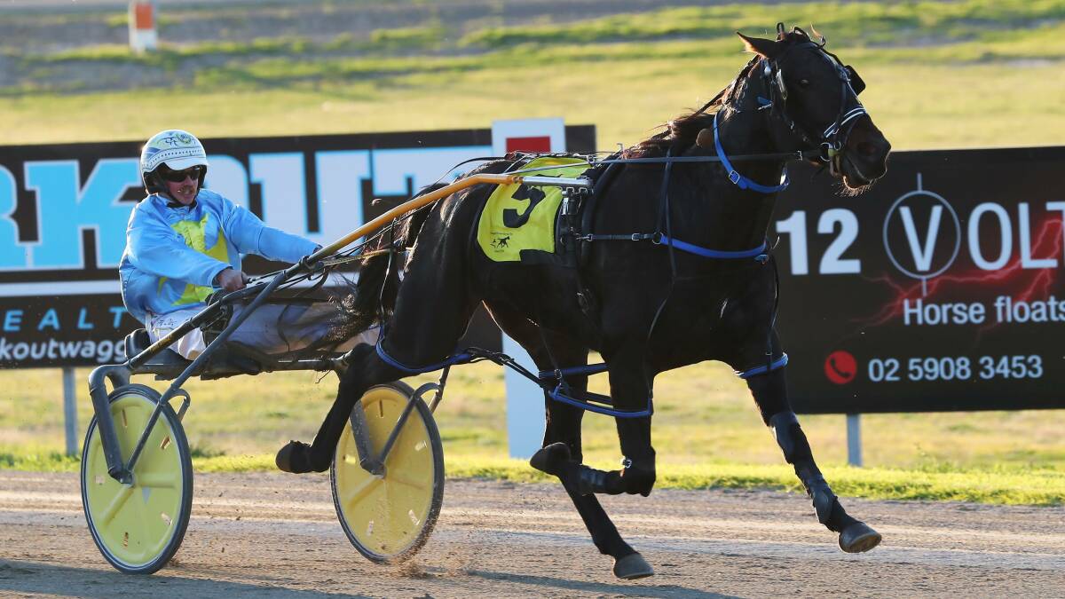 Bayley Duck has qualifed The Analyzer for a Menangle Country Series final.