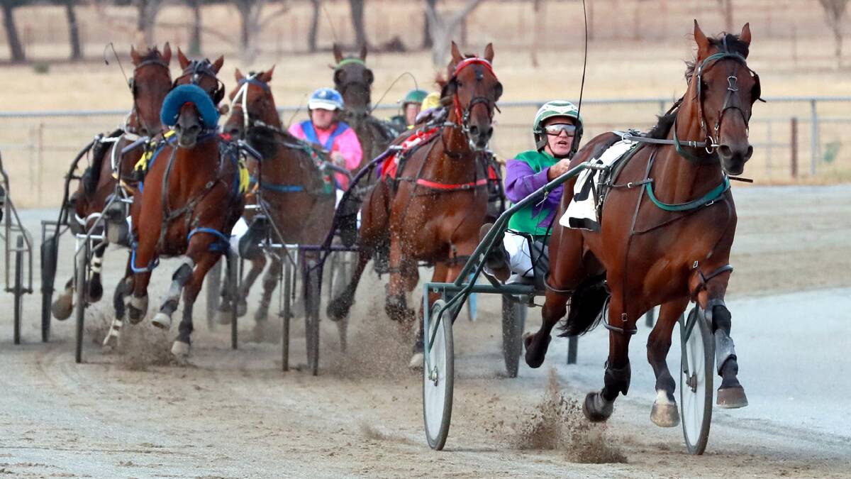 AWAY HE GOES: Major Roll charges clear of his rivals to take out the first heat of the Junee Pacers Cup. He is the fastest qualifer for Sunday's final. Picture: Les Smith