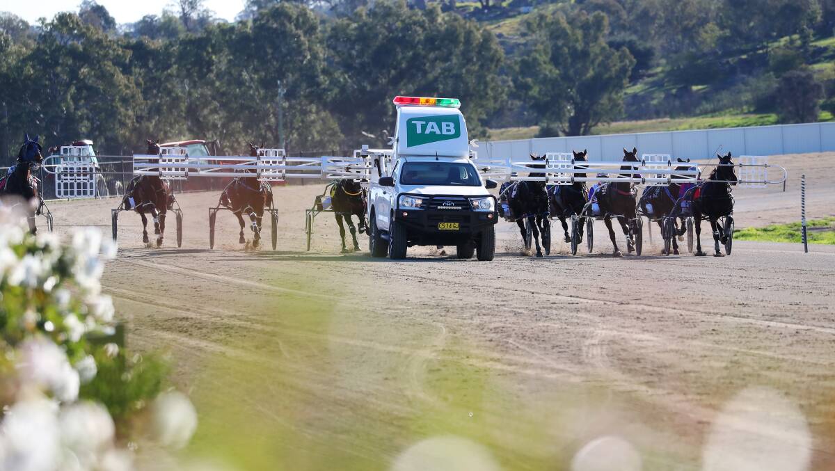 There will be more racing at Riverina Paceway next season with the club allocated 52 meetings.