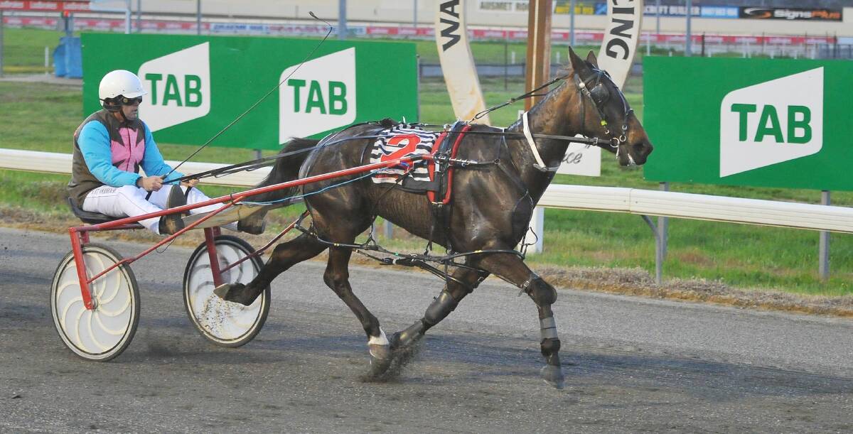 Million Dollar Gem resumes from a successful four-year-old season in the heats of the Griffith Cup on Tuesday.