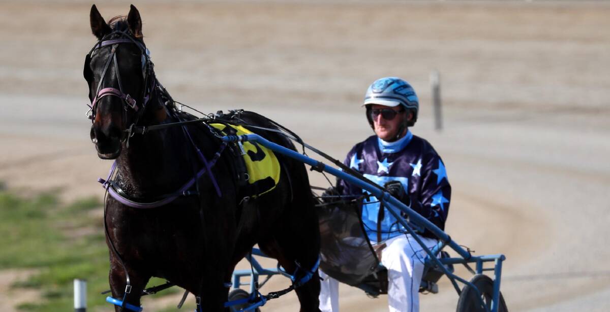 Jackson Painting is chasing more success at Riverina Paceway on Friday, including with My Ulimate Sport.