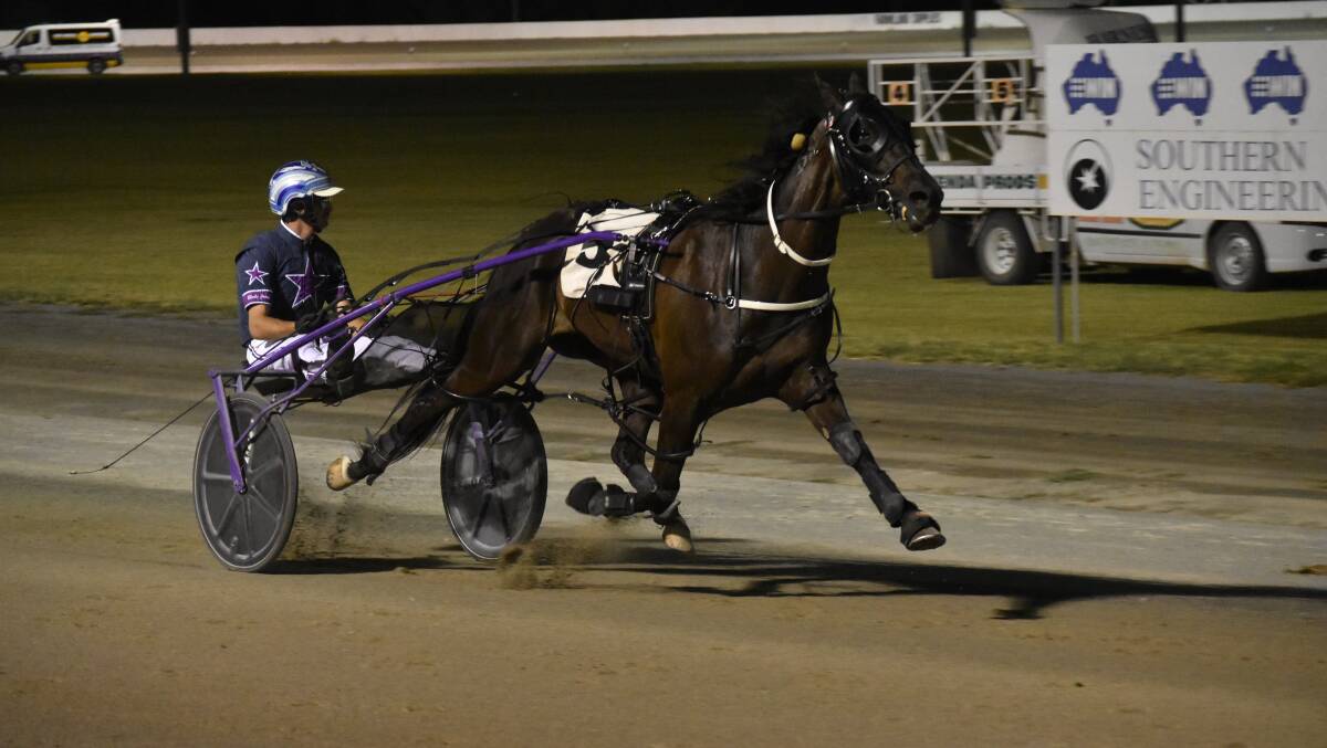 HOT STREAK: Nerano is looking to add to his Griffith and Leeton Pacers Cup wins in the Junee Pacers Cup on Tuesday night. He's drawn nine in the feature race. Picture: Courtney Rees