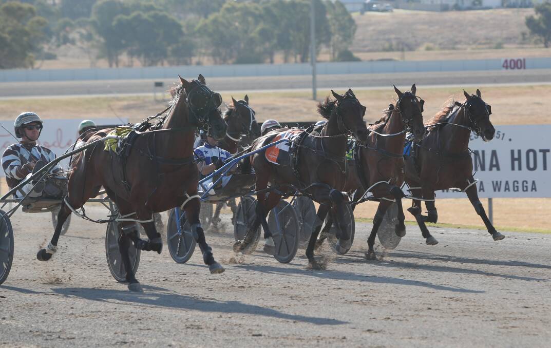 Extreme Sea comes right down the outside to swamp his rivals and win the Riverina Championships entires and geldings final on Sunday. Picture by Tom Dennis