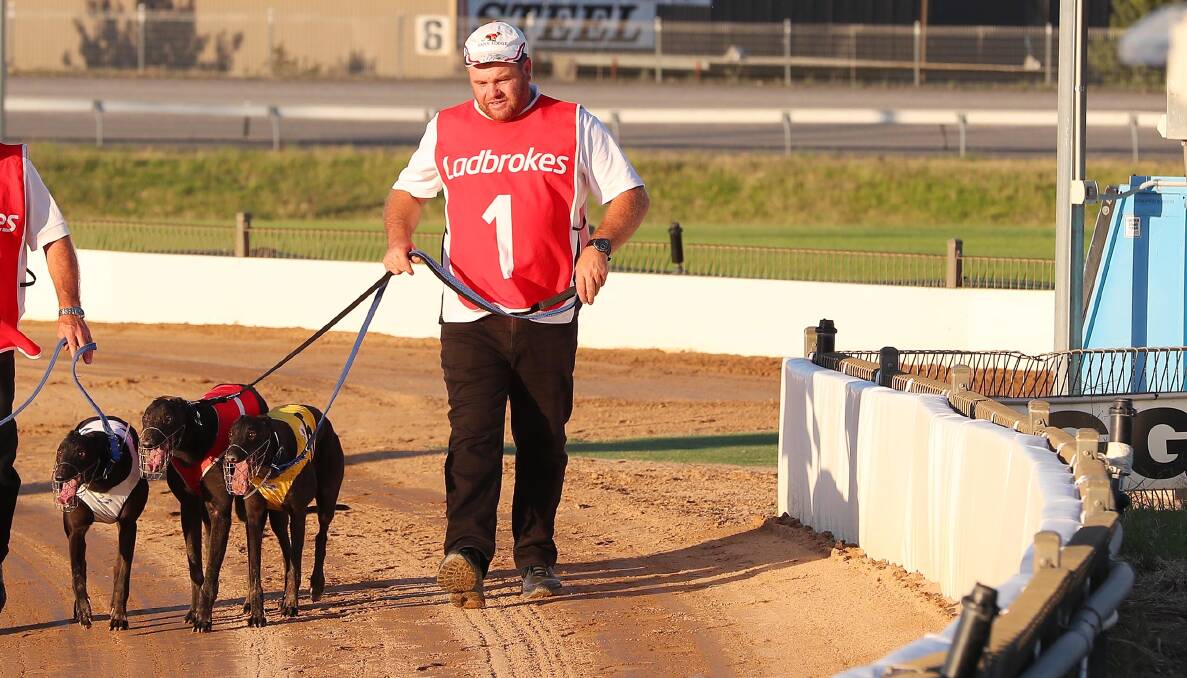 STRONG RUN: Cowra trainer Rod McDonald scored three quinellas at Wagga on Friday including in two heats of the New Year Cup. The final will be run at an earlier time this week to avoid the heat.