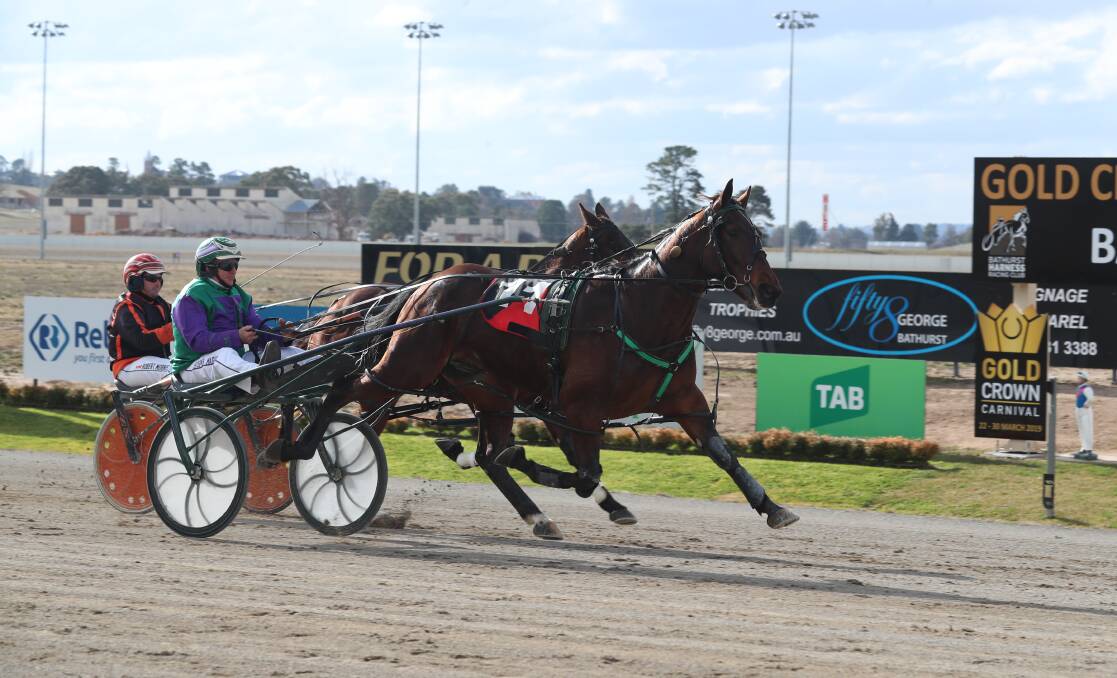 FEATURE WIN: Major Roll won his second Group Three feature for the season with a win in the NSW Breeders Challenge Regional Finals for Mirrool trainer-driver Stephen Maguire at Bathurst on Sunday.