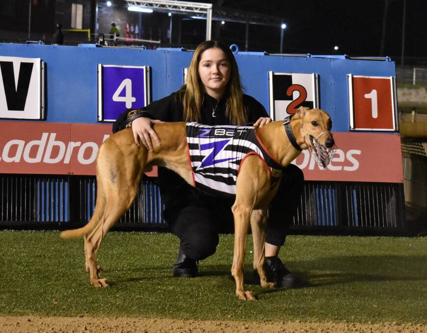 SPOILS OF SUCCESS: Handler Bailey Atkins with Nikoli Bale after taking out the first heat of the Graeme Hull Memorial Cup at Wagga on Friday night. Picture: Courtney Rees