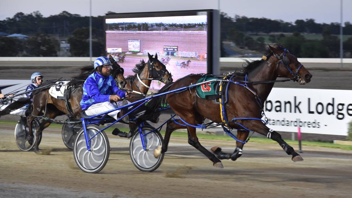 ROLLING AWAY: Daryll Perrot guides Roll A Dream to victory in the first of the three-year-old fillies Breeders Challenge Regional heats at Riverina Paceway on Tuesday. Picture: Courtney Rees