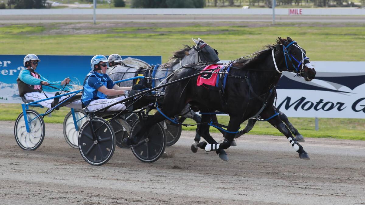 Rocky Creed going onto win his heat of the Regional Championships at Riverina Paceway earlier this month.