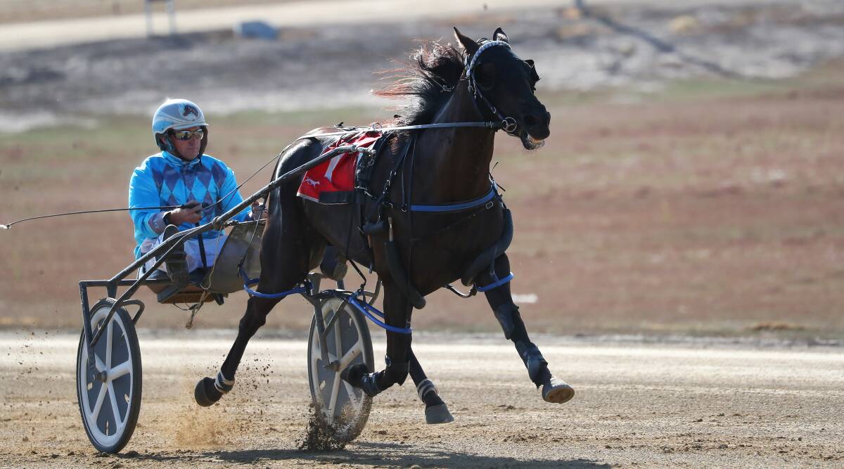 CRUISING ALONG: Dennis Picker sits quietly in the gig as Elle Yeah goes on to set a new track record at Wagga on Friday. She took over two seconds off the time to clock a mile rate of 1:52.3. Picture: Emma Hillier