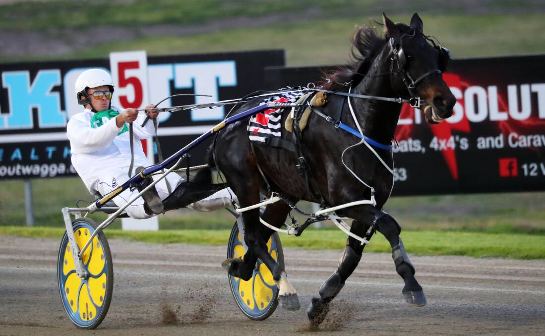 Young trainer-driver Todd Day steers Holy Camp Caprhyse to victory at Riverina Paceway on Tuesday. 