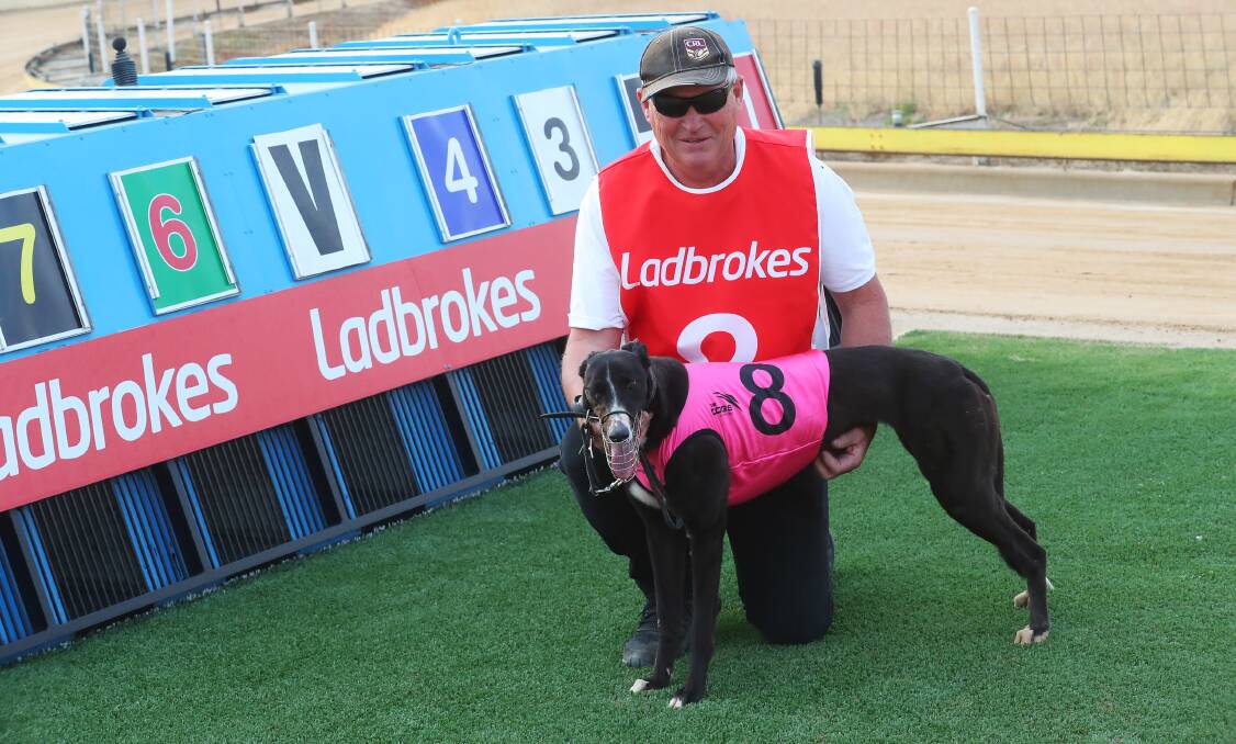 SWEET SUCCESS: Paul Strutt celebrates after winning the Ladbrokes Cash In 0-2 Wins Stakes (525m) with Trundle Betty at Wagga on Friday night. Picture: Emma Hillier