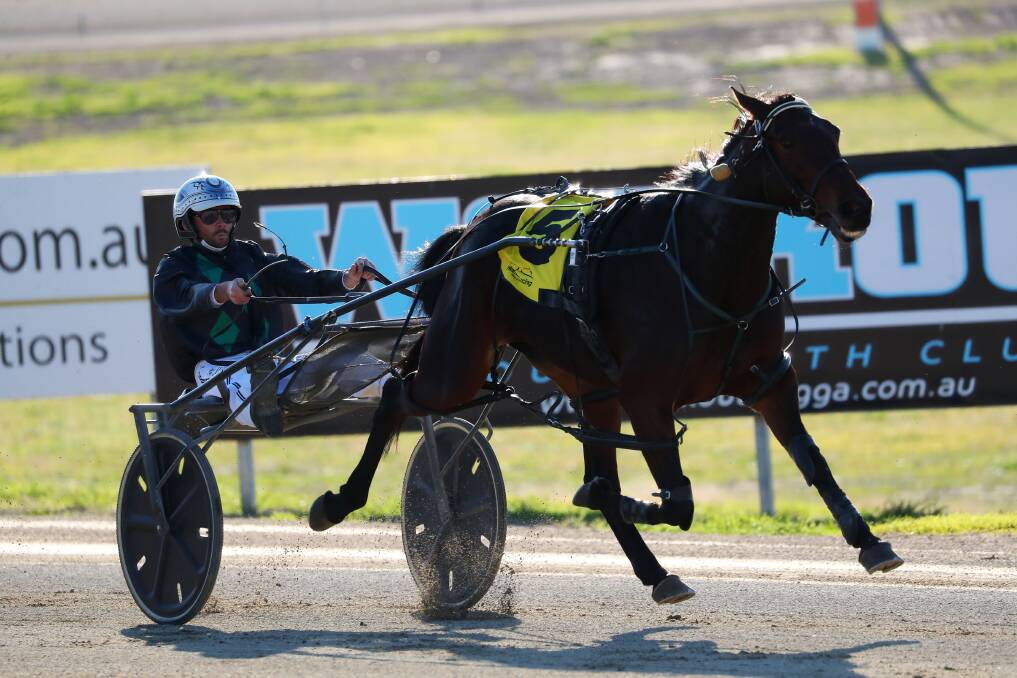 HOLDING ON: Peter McRae urges Ideal Fantasy to the line to secure her place in next week's group one Regional Championships final. Picture: Emma Hillier
