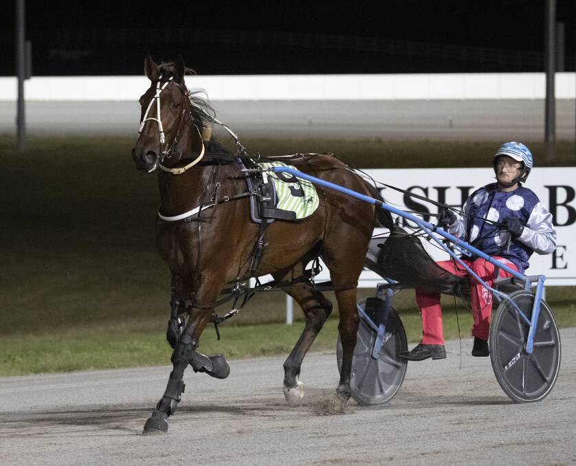 STRONG HAND: Jackson Painting returns with Rocknroll Runa after their Regional Championships heat win last week. He's looking to qualify two more horses for next week's $100,000 final.
