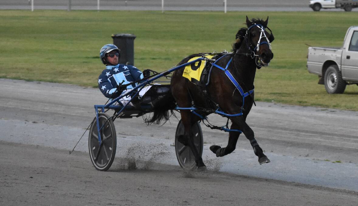 RACING AWAY: Jackson Painting steers Rocknroll Runa to an impressive win in the NSW Breeders Challenge heat at Leeton on Friday. Picture: Courtney Rees