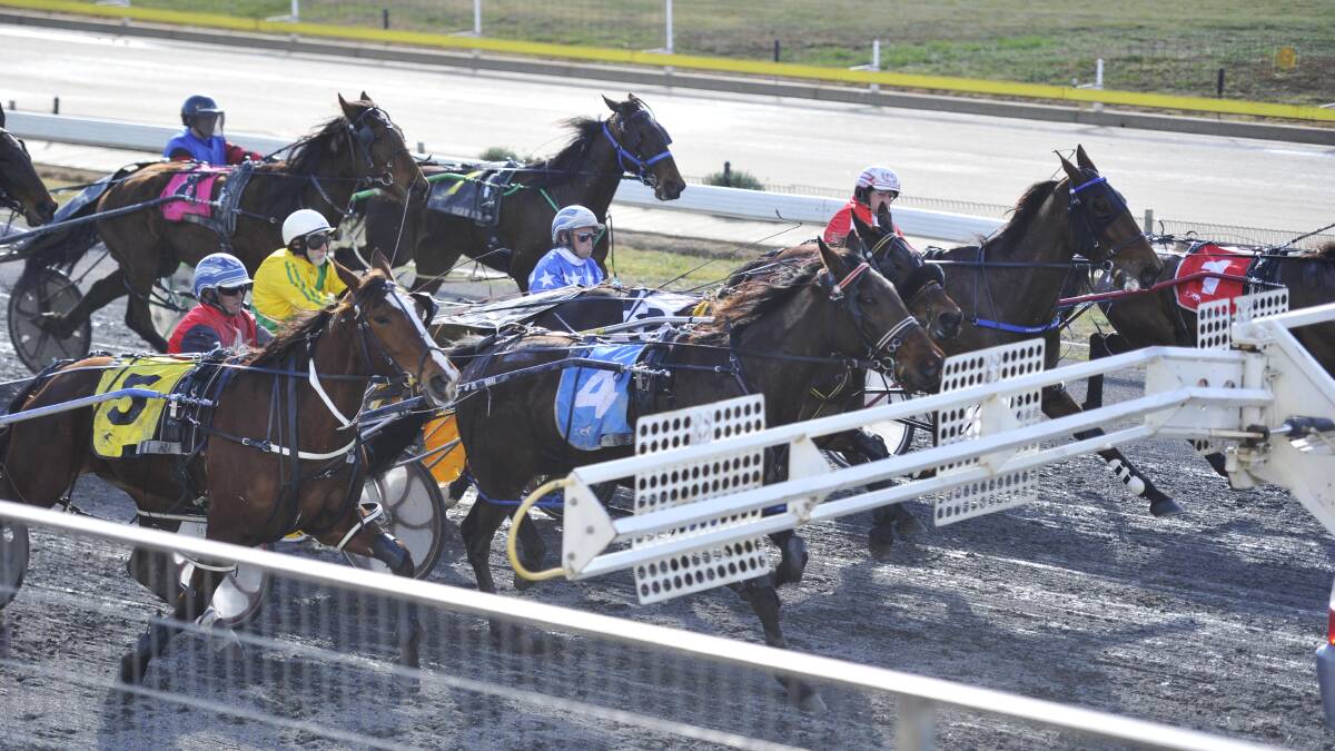 Wagga Harness Racing Club announced a profit increase at the AGM on Wednesday.