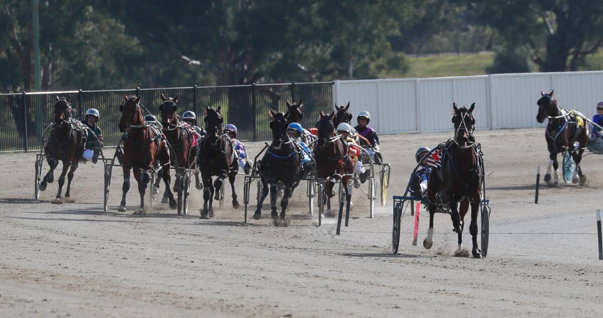 MASSIVE WIN: Whereyabinboppin clears out from his rivals for the most impressive victory in the Regional Championships heats at Riverina Paceway on Friday. Picture: Les Smith