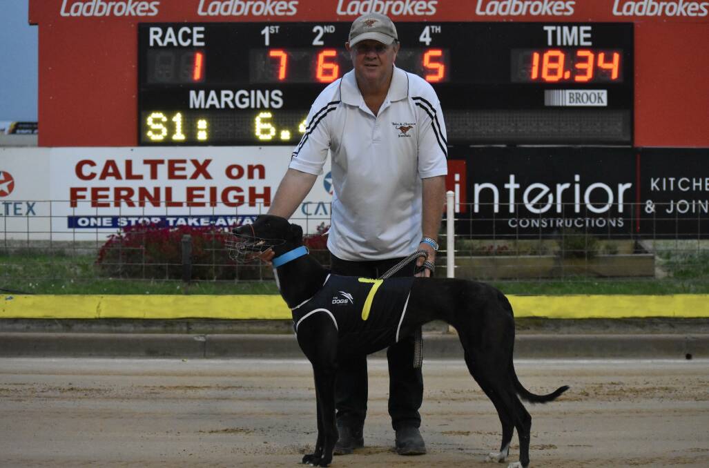Choice Chance, pictured with handler Michael Hugo, is looking to extend her good record at Wagga on Friday.