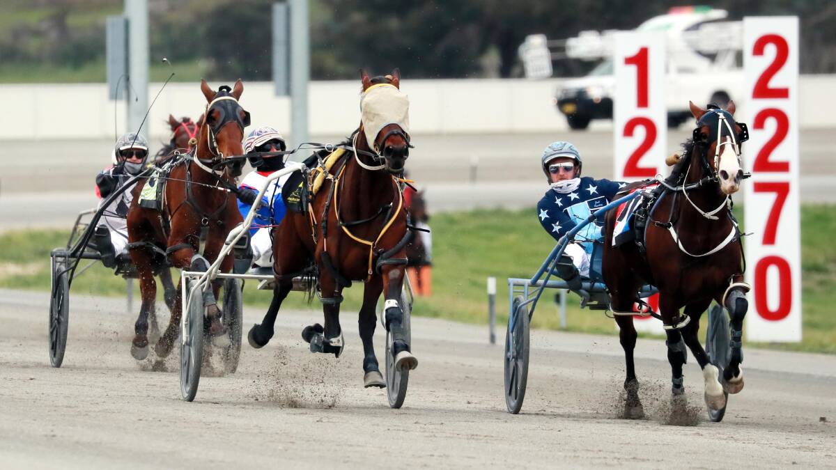 FIGHTING FINISH: Jackson Painting drives Louthario to a narrow win over Heza Conman as part of a double at Riverina Paceway on Friday. Painting and uncle David Kennedy also won with Are Doubleyou. Picture: Les Smith