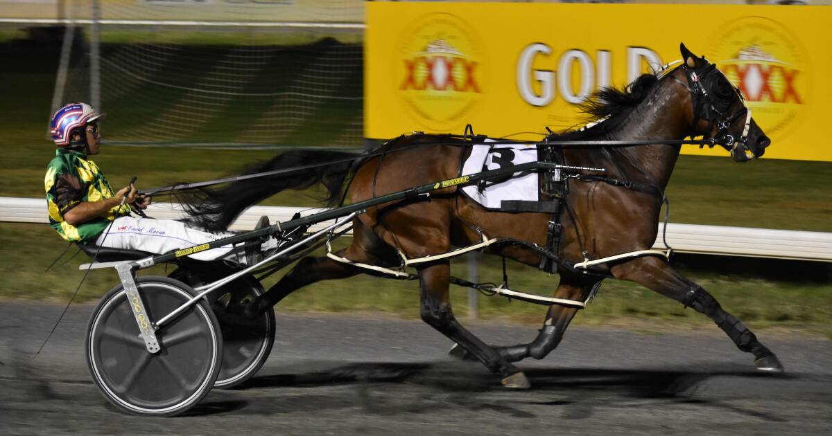 David Moran drove Our Triple Play to win the Wagga Pacers Cup on Saturday night.
