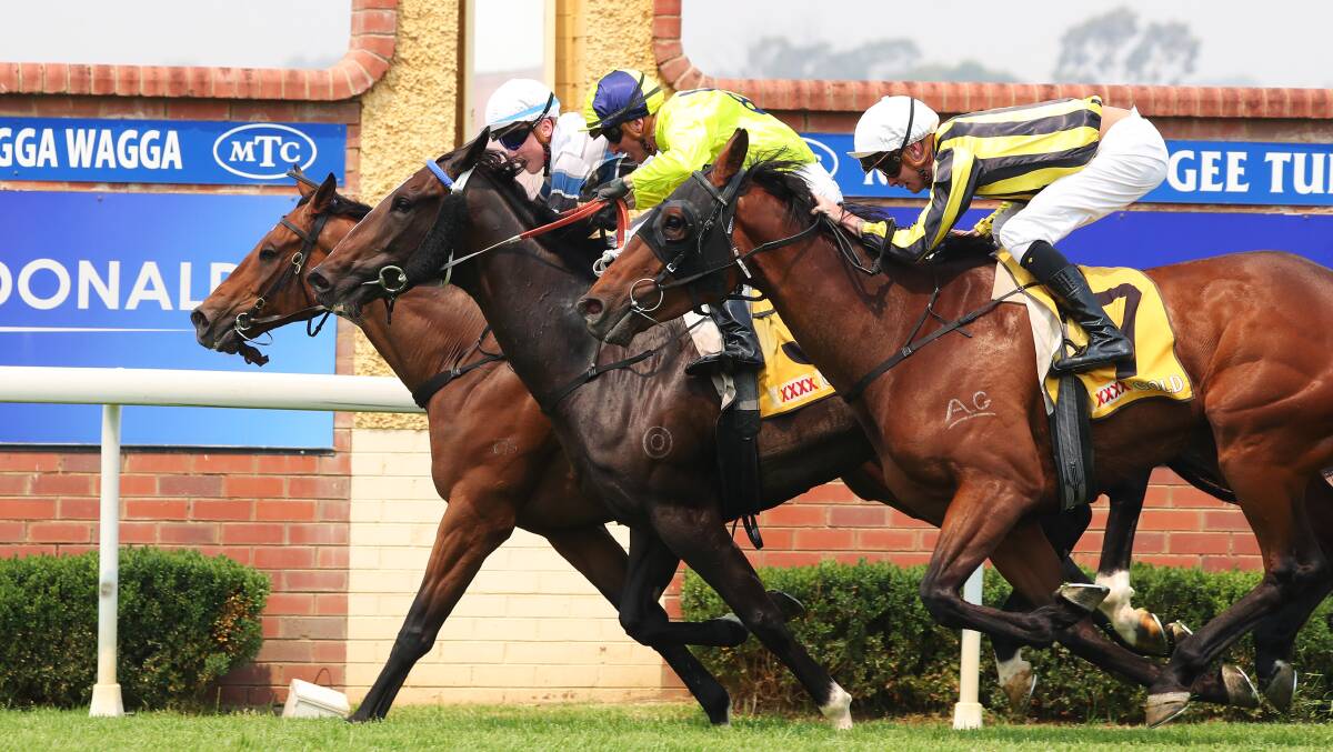 CLOSE CALL: Spunlado dives along the inside to edge out Lady Mironton in the Ted Ryder Prelude on Tuesday. Picture: Emma Hillier