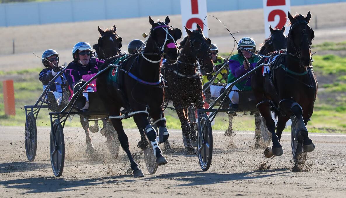 FIGHTING FINISH: James McPherson and Rusty Crackers
charge past Stephen Maguire and Major Roll to take out
the Wagga Pacers Cup on Sunday. Picture: Emma Hillier