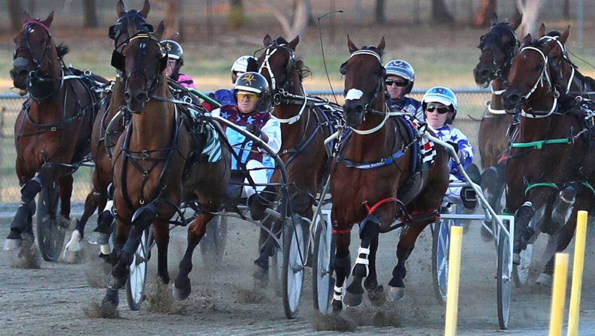 CUP HOPES: Roll One Over and Bater House will line up in the Junee Pacers Cup along with Dance For Glory after qualifying through the heats last week.