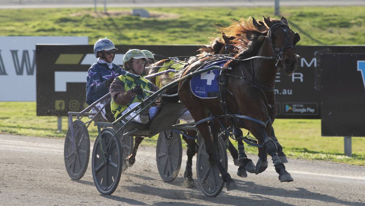 GOOD START: Goulburn trainer-driver Brad Hewitt guides Our Lady Lara to victory for the first leg of a double at Riverina Paceway on Friday. Picture: Madeline Begley
