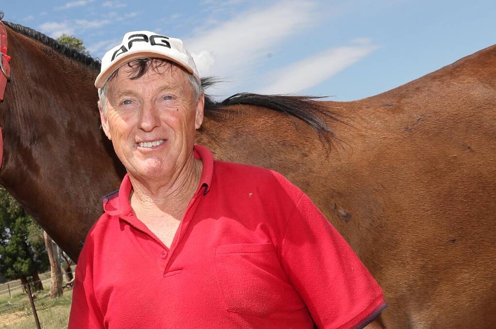 David Druitt has Saucy Dreams chasing Wagga Horse of the Year honours on Saturday night.