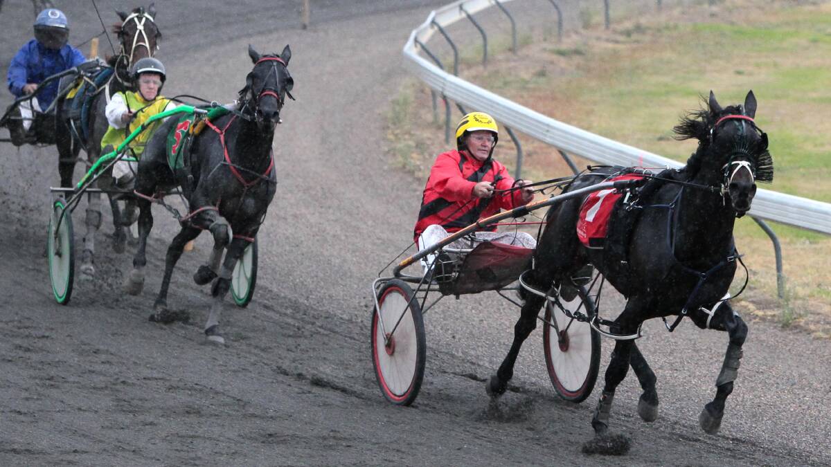 STILL GOT IT: A two-year break hasn't slowed Mist You who is looking to take out the HRNSW Rewards Series final at Wagga on Friday.