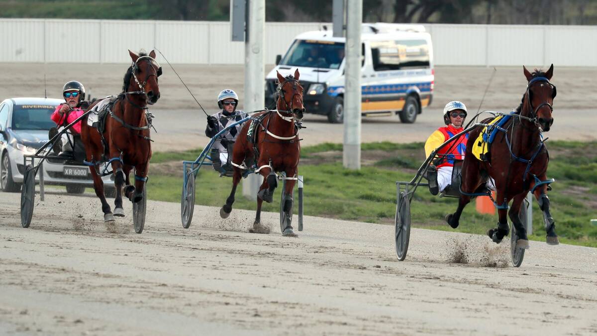 London Lady races away from her rivals at Riverina Paceway on Friday.