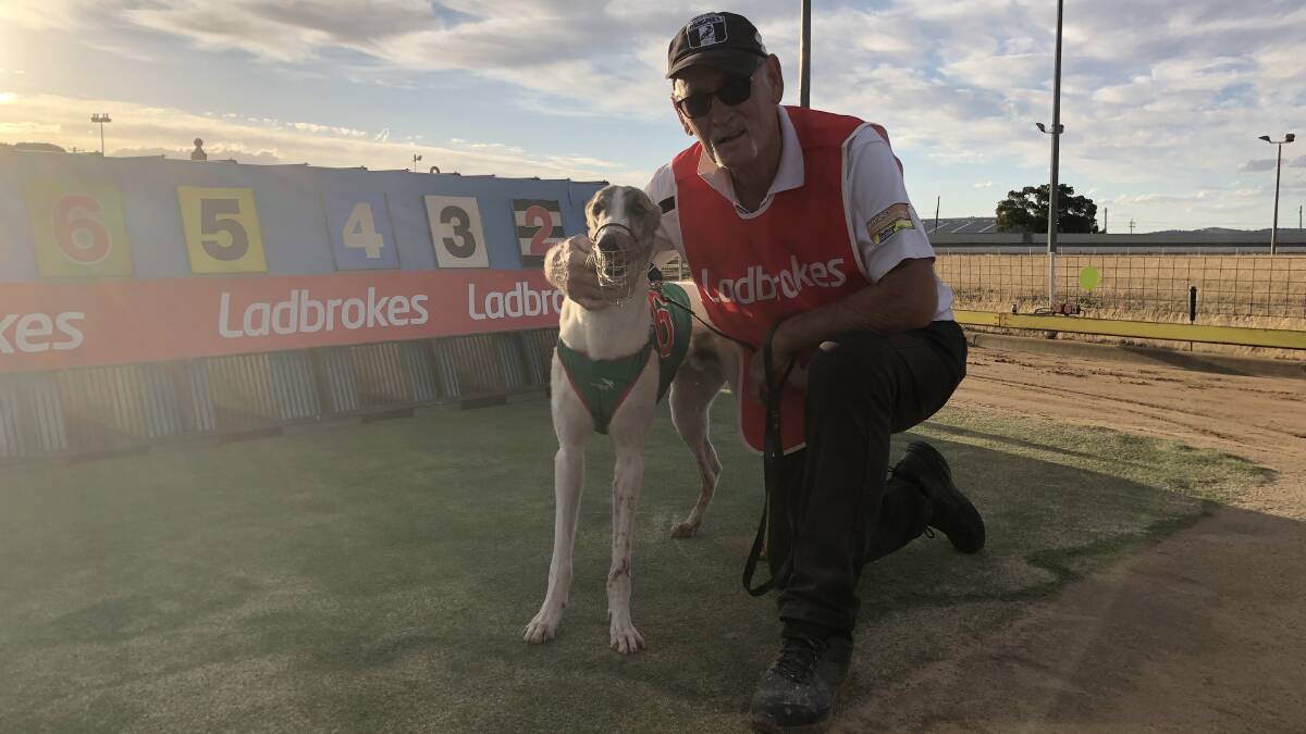 IN FORM: Wagga trainer Bruce Williams is looking to bring up another win with Myrniong Jake after a victory earlier this month. Picture: Courtney Rees