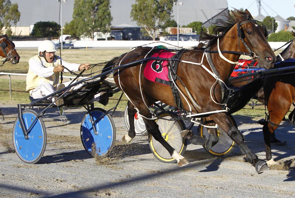 Alabama Tyson set a new track record at Coolamon while Blackbird Power scored a big win in the Pacers Cup on Sunday.