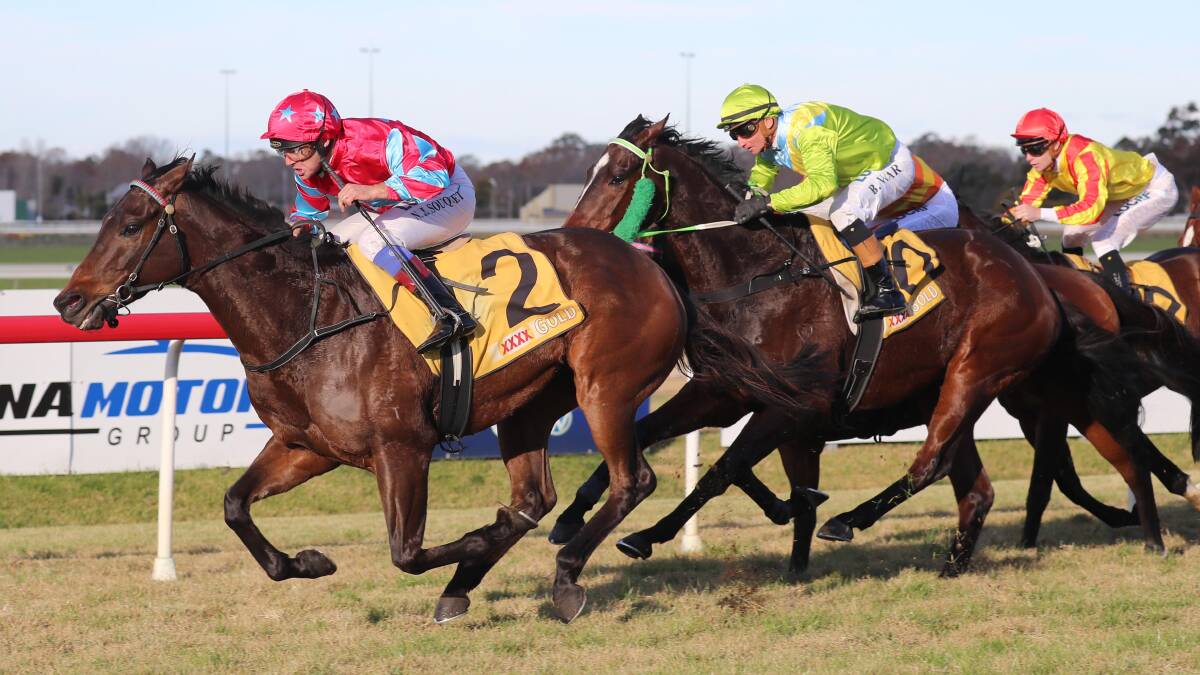 BACK ON TOP: Cash Crisis scored his first win since taking out the City Handicap over the Albury Gold Cup carnival last year in the Wagga Winter Sprint at Murrumbidgee Turf Club on Sunday. Picture: Les Smith