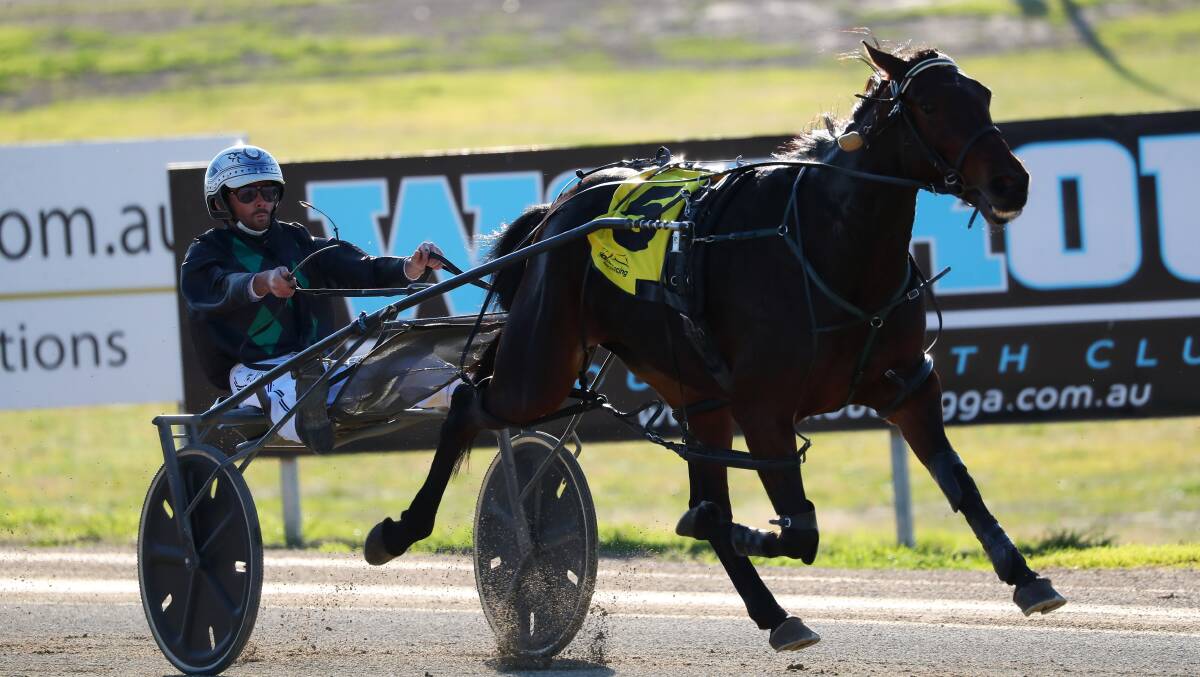 Peter McRae drives Ideal Fantasy to victory last week.
