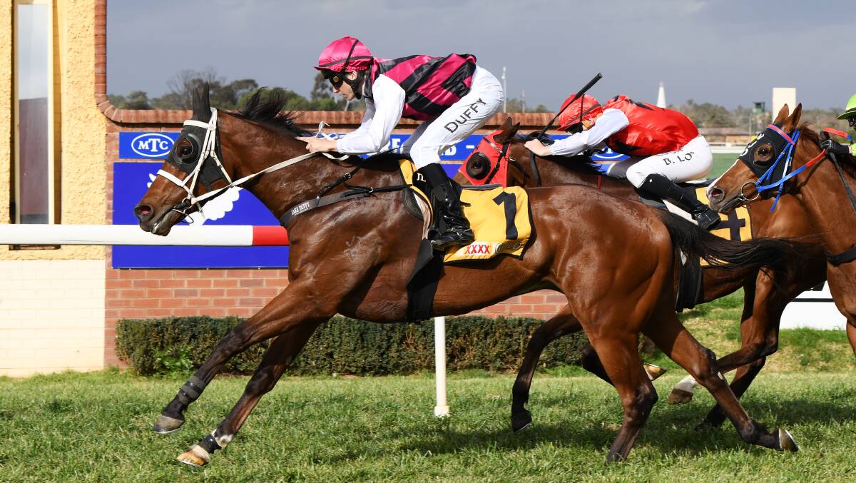 Jaytee's The Fox is looking to rediscover his best in order to defend his crown in the Aggies Cup on Saturday.