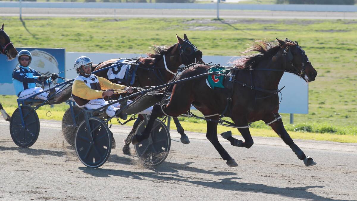 CHARGING AHEAD: Peter McRae steers Ab Fab to victory to complete an early double at Riverina Paceway on Friday. Picture: Les Smith